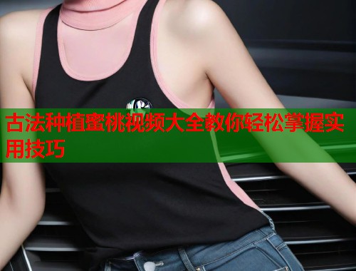 古法种植蜜桃视频大全教你轻松掌握实用技巧